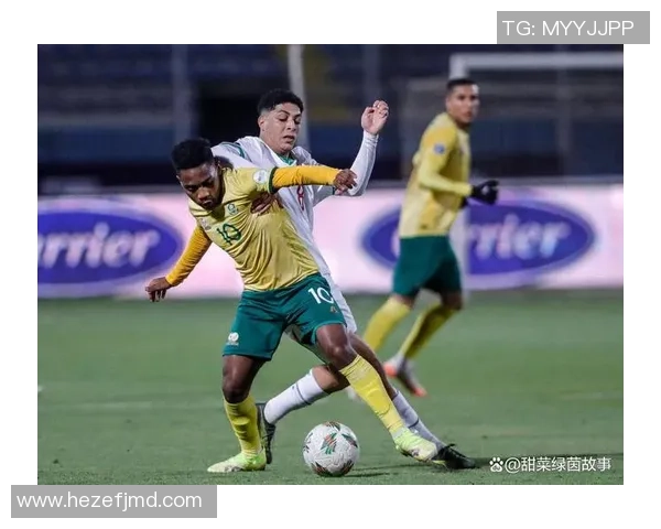 莫桑比克足球球星的传奇历程与非洲绿茵荣耀故事